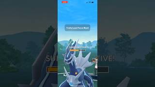 Bacon Bird focus blasts Dialga [upl. by Yenots917]