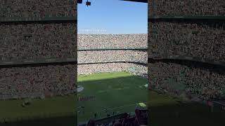 Betis fans before match vs Espanyol 10 laliga shorts footballpassion [upl. by Wilinski688]