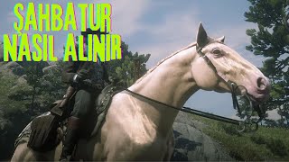 ŞAHBATUR ALTIN AT NASIL ALINIR BUELL HORSE  Red Dead Redemption 2 Türkçe [upl. by Rezzani]