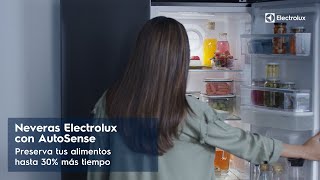 Nuevas Neveras Electrolux [upl. by Leak]