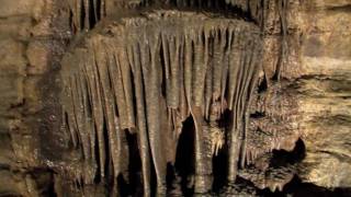 ForestvilleMystery Cave State Park virtual tour [upl. by Urania]