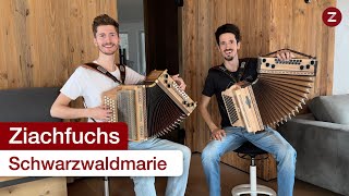 Schwarzwaldmarie 🥳  Steirische Harmonika [upl. by Ines]