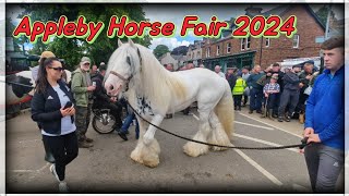 Appleby Horse Fair 2024 [upl. by Whiney]