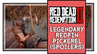 Red Dead Redemption 2  Legendary Boar  Crafting Boar Tusk Talisman LocationGuide [upl. by Henriha233]