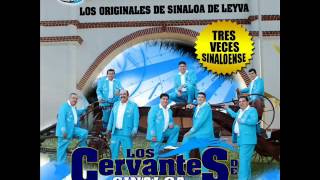 los cervantes de sinaloa de leyva 2012asi fuewmv [upl. by Yerbua]