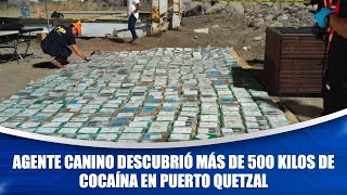 Agente canino descubrió más de 500 kilos de cocaína en Puerto Quetzal [upl. by Nimocks]