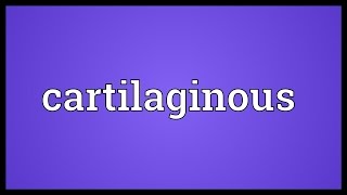 Cartilaginous Meaning [upl. by Issim]