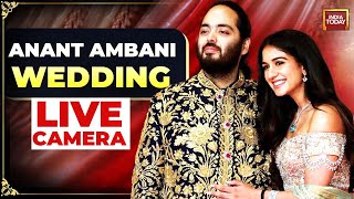 Anant Ambani Wedding LIVE Updates Mukesh Nita Ambani  Bollywood At Ambani Wedding Gala LIVE [upl. by Nwahsyt]