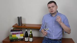 12  Chablis vs PouillyFuissé  BURGUNDIA  NASZ ŚWIAT WIN [upl. by Aneeled]