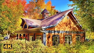 Beautiful AUTUMN Foliage Fall Colors in small Canadian Village [upl. by Immat36]