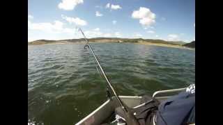 Panguitch Lake Utah Fishing GoPro [upl. by Willetta]