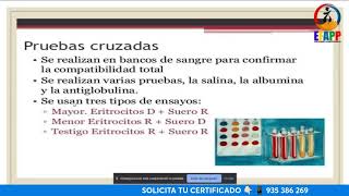 𝗖𝗨𝗥𝗦𝗢 𝗚𝗥𝗔𝗧𝗨𝗜TO LABORATORIO CLÍNICO EN HEMATOLOGÍA📚 [upl. by Ylime]