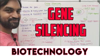 Gene silencing mechanism [upl. by Ahtenak547]