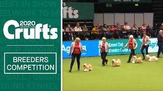 Breeders Competition Final  Crufts 2020 [upl. by Imogen]