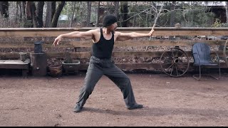 Kuo Lien Yings original Taiji form Lesson 2 [upl. by Ennobe]