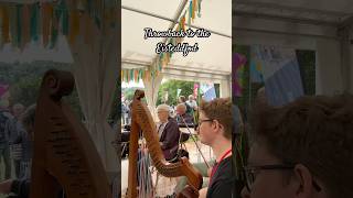 Throwback to the Eisteddfod eisteddfod folk wales welshmusic [upl. by Flossy]