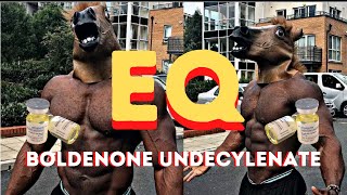 EQ Boldenone Undecylenate Review  Lean Gains amp No AI [upl. by Anurb]