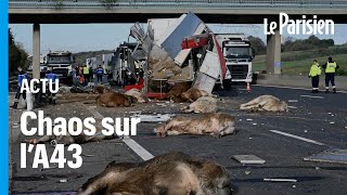 Un fiché S fait demitour après laccident dune bétaillère et sème le chaos sur lA43 [upl. by Neddy329]