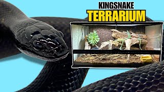 UPGRADING MY MEXICAN BLACK KINGSNAKE INTO BIG TERRARIUM  Exo Terra Moisture Retaining Ceramic Caves [upl. by Gena]