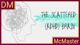 Understanding the scattered ADHD brain [upl. by Osicnarf]