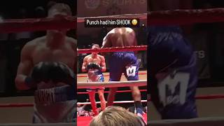 MMA Boxing Punch 👊🏻 shorts viralvideo mma ufc boxing trending shocking [upl. by Inaffit]