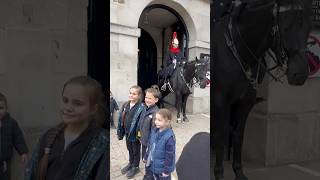 Well behaved Kids history horse tourist horseguardsparade highlights [upl. by Haydon]