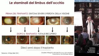 BIOLOGIA  Cellule staminali  Accademia dei Lincei e SNS  2 aprile 2019 [upl. by Ocram]