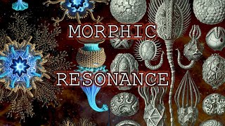 Morphic Resonance The Theory of Formative Causation [upl. by Avis4]