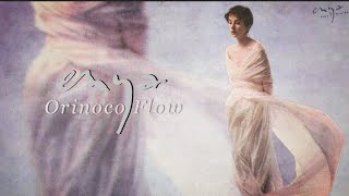 Enya  Orinoco Flow Lyric Video [upl. by Annoed]