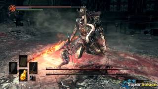 DARK SOULS 3  VAINCRE LE PRINCE JUMEAUX [upl. by Syd]