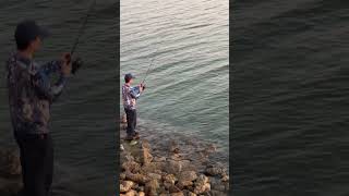 fishing jubail indojubail jubailcitycenter aljubail [upl. by Irtimed]