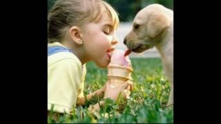 My Friend  Dog Tales  Emotional Touch [upl. by Angelis]