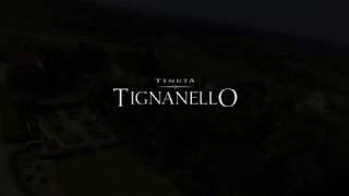 Tenuta Tignanello  2017 [upl. by Tihor]