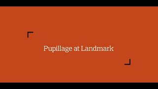 Pupillage at Landmark Chambers [upl. by Kowal]