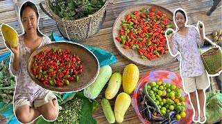 Harvesting Huge vegetables From Our GardenAbundantly Blessed with Tons of King chillyDaily vlog [upl. by Laflam]