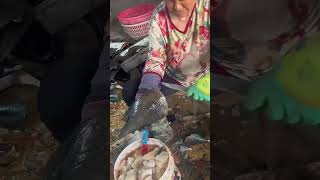 Process of Fishermen Quickly Shelling and Meat Extraction of Harvested Shellfish [upl. by Corrianne840]