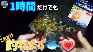 〚広島市〛仕事終わりに1時間釣行🎣スパテラオレンジグローを使えばこれだけ簡単に釣れます☺️ [upl. by Ybbed]