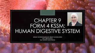 CHAPTER 9 FORM 4 KSSM  93 Absorption [upl. by Der]