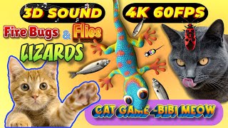 CAT GAMES TOM TV amp BiBi  Ultimate Compilation Catching The LIZARDS  Flies FireBugs🦎11 HOUR🦎Vol 68 [upl. by Kyred]