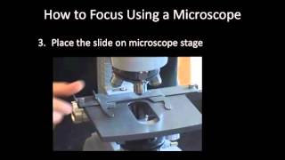 Focusing a Microscope Unit 2 17 [upl. by Nawoj]