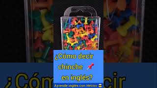 ¿Cómo decir chinche en inglés [upl. by Lowrance98]