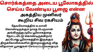 சிவனுக்கு விருப்பமான பூஜை என்னone minute story tamilbakthikathaigalபடித்ததில்பிடித்ததுநீதிகதைகள் [upl. by Entirb]