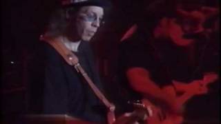 Creedence Clearwater Revisited  Cotton Fields [upl. by Burk]