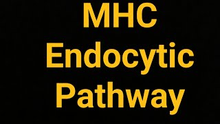 Endocytic Pathway of Antigen Presentation complete and easy explanation [upl. by Nimra]