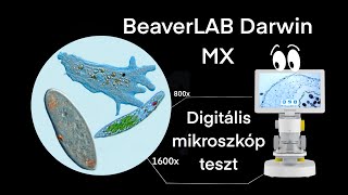 Beaverlab Darwin MX mikroszkóp teszt [upl. by Fitalludba]