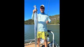 IFISHTV Hawkesbury River Hairtail on Soft plastics amp Mulloway [upl. by Enitsrik]