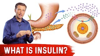 What Is Insulin – Dr Berg [upl. by Aiam]