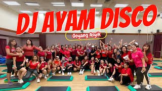 DJ AYAM DISCO ZUMBA  JOGET ASYIK  TINNY SAM [upl. by Asirb684]