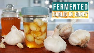 FERMENTED GARLIC in HONEY with Safety Tip To Prevent Honey Botulism Poisoning [upl. by Kiel]