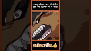 how ginkaku and kinkaku get the power of 9 tailed 🤔 animetelugu teluguanimecommunity [upl. by Behah553]